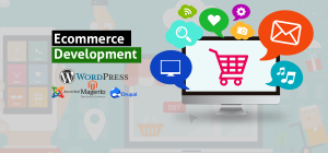 E-Commerce Web Design Company In Noida