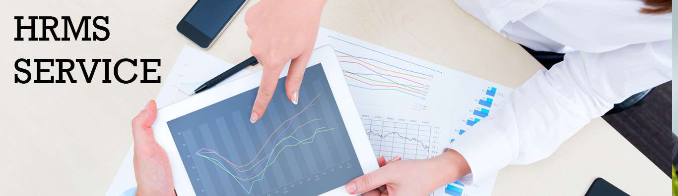 HRMS Software Service In Noida