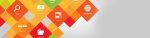 Web Development Service